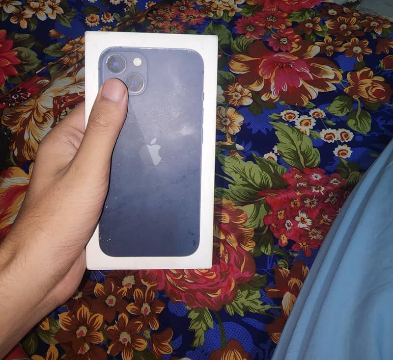Apple iPhone 13 0