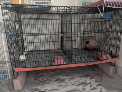 rinknek/cocktail cage with box and also for love birds and finchis.