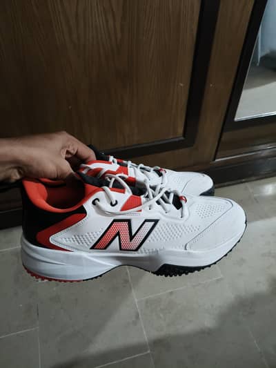 Brand New original New Balance imported CK4020 Cricket Shoes