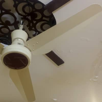 *Almost New Ceiling Fans | Used Only Few Months | Excellent Condition*