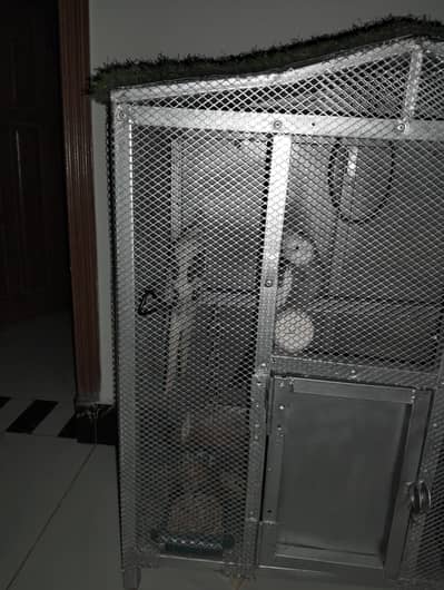 birds Cage