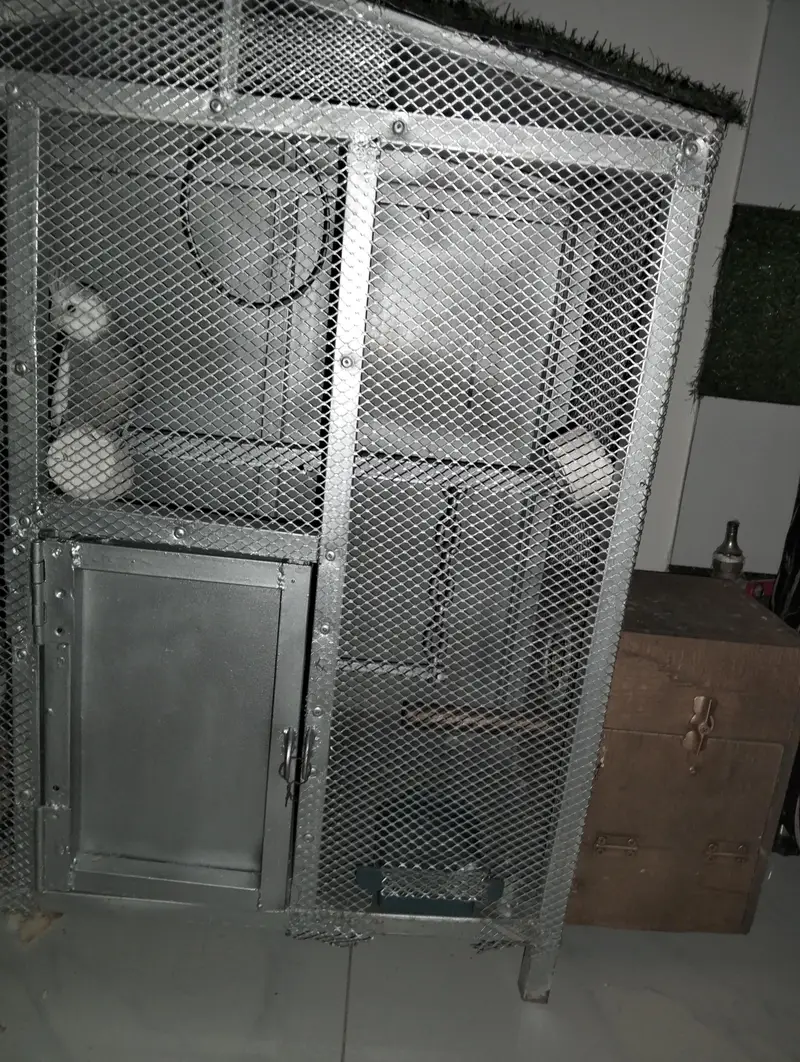 birds Cage — photo 2