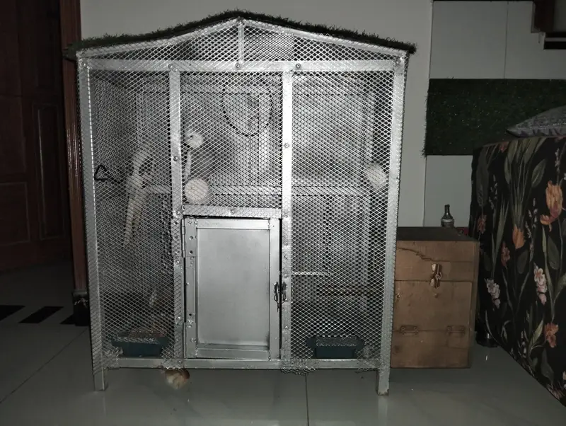 birds Cage — photo 3