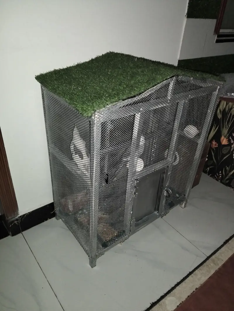 birds Cage — photo 5