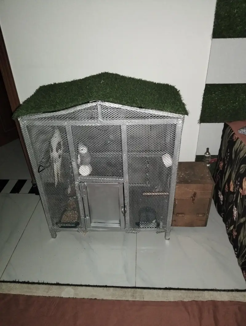 birds Cage — photo 6