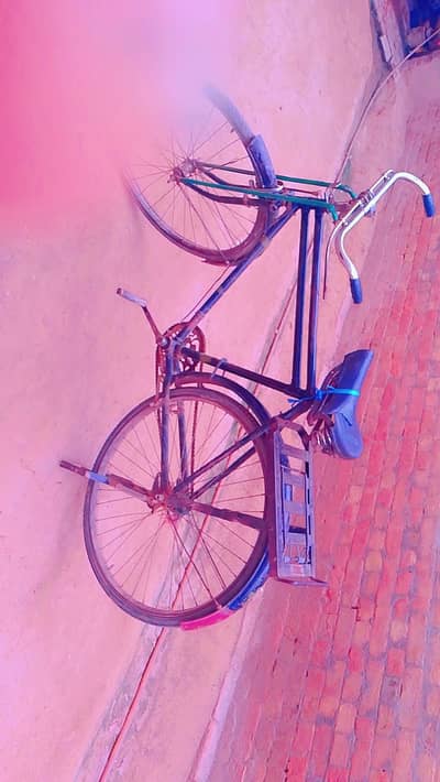 Used cycle for sale good condition multan