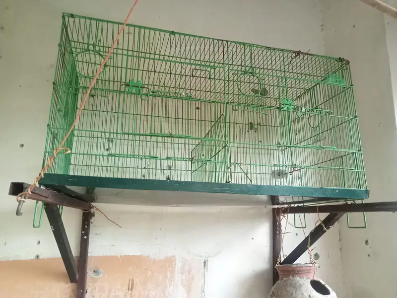 1 pair forsale and 2 cages — photo 3