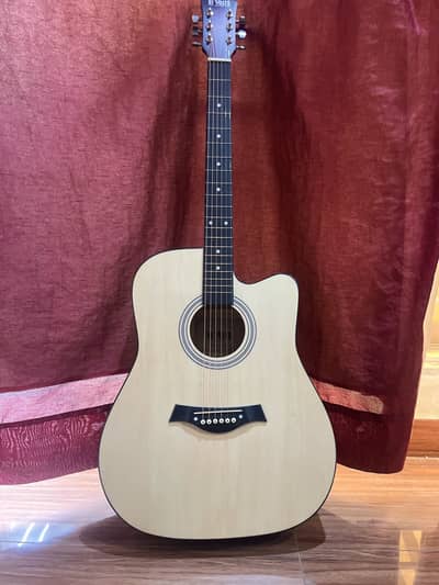Acoustic Guitar