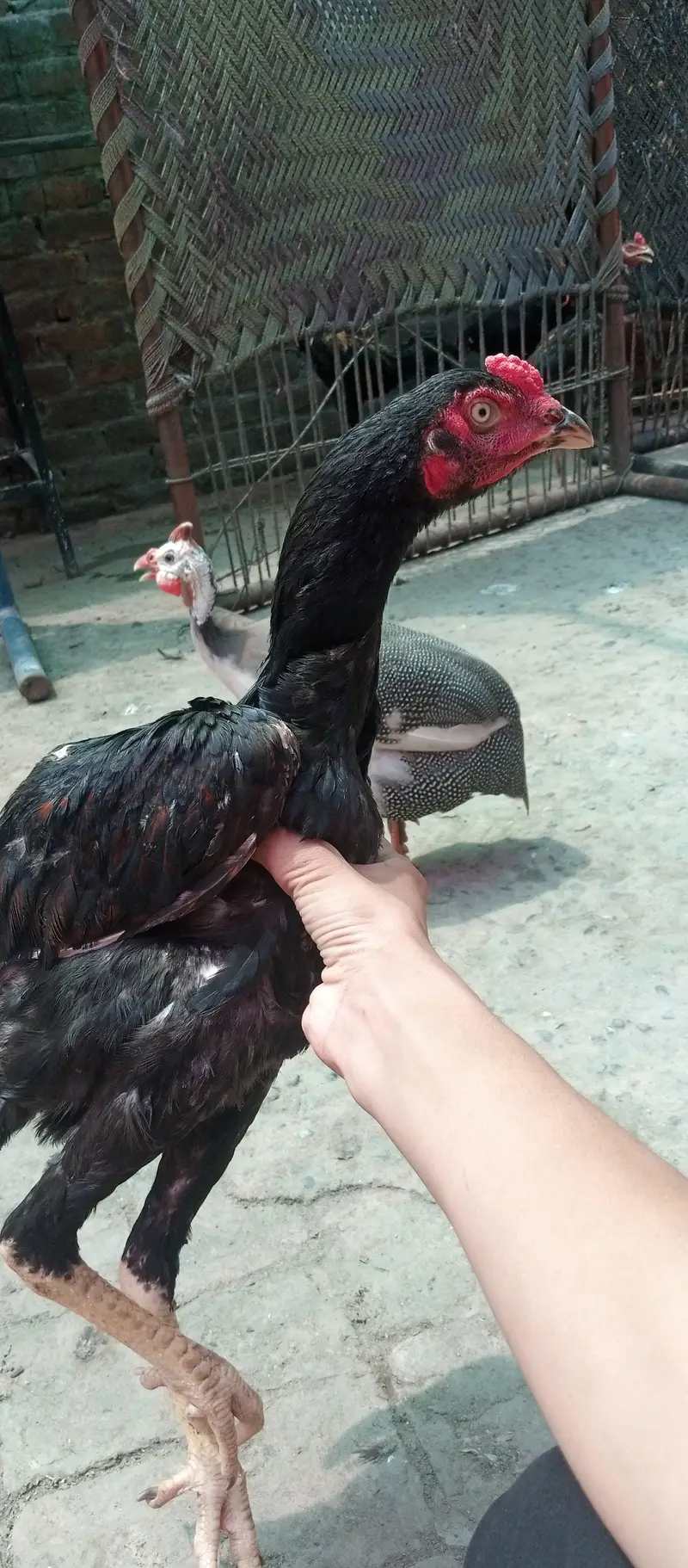 Lakhan sar ka pata hai pure sal ki guarantee hai — photo 2