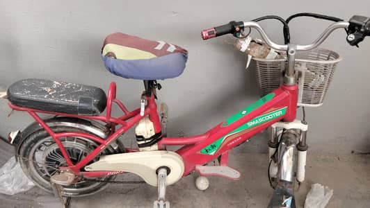Electric cycle for cell. battery issues