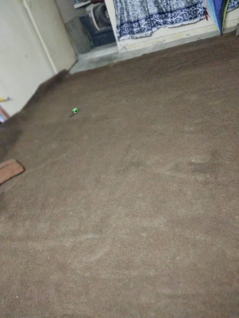 room carpet 0