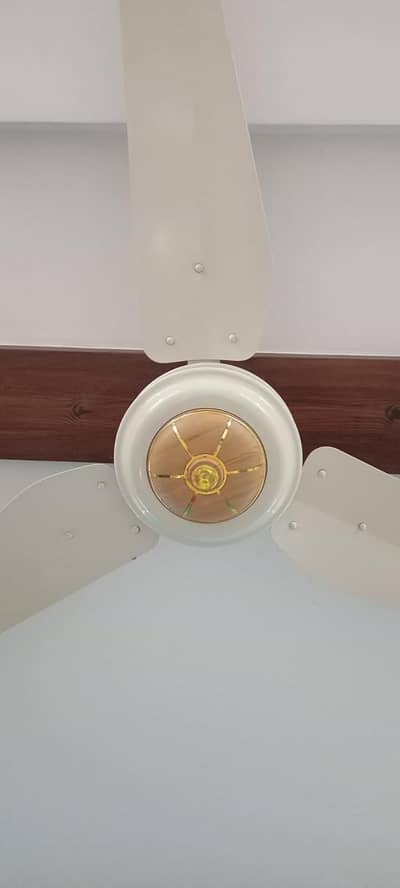 Ceiling Fans