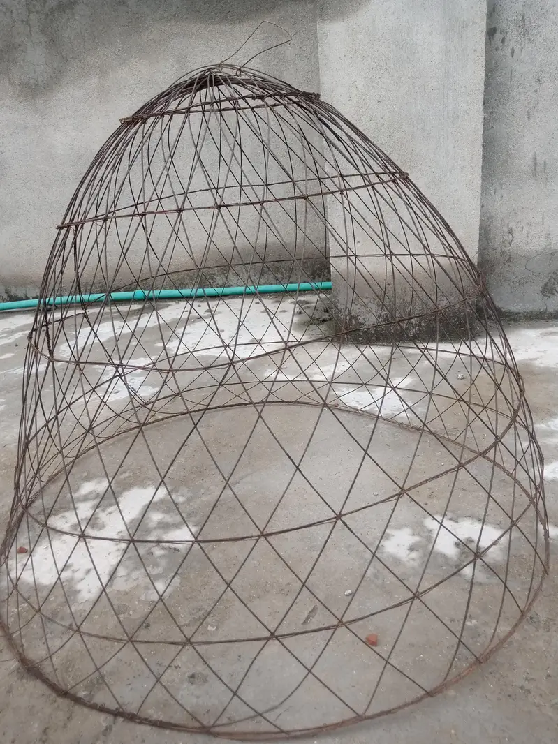 Hen Jal — photo 2