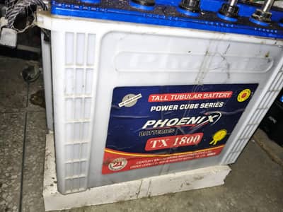 Phoenix Tall Tubular Batteries TX 1800 for sale