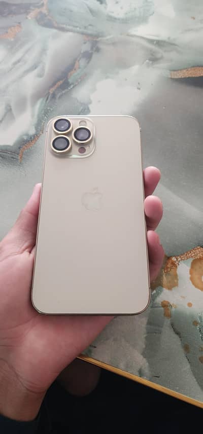 Apple iPhone 13 Pro Max