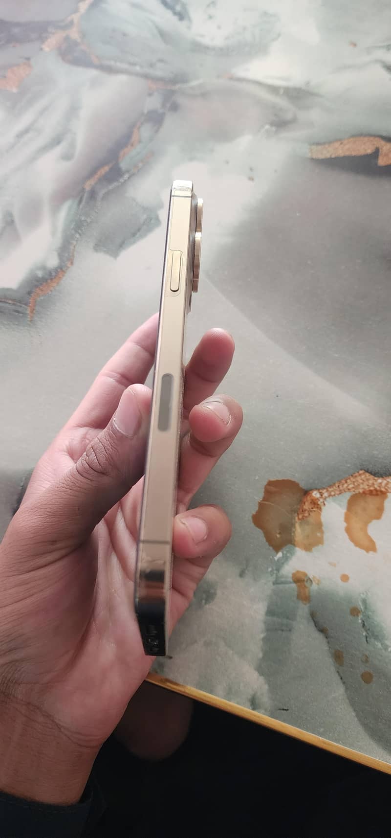 Apple iPhone 13 Pro Max 1