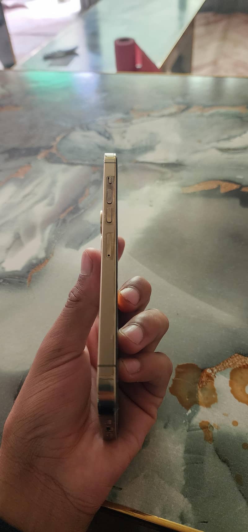 Apple iPhone 13 Pro Max 2