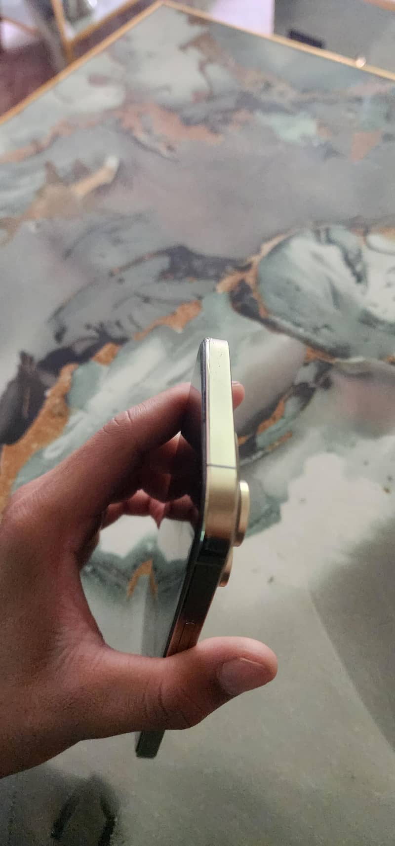 Apple iPhone 13 Pro Max 3
