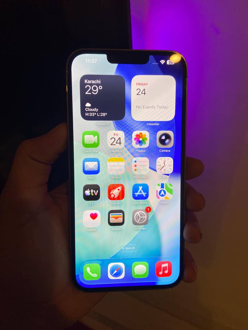 Apple iPhone 13 Pro Max 1