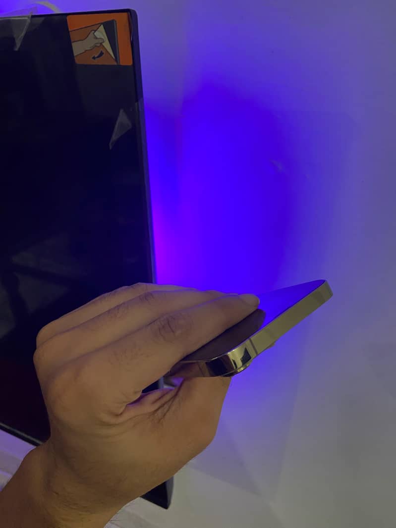 Apple iPhone 13 Pro Max 2