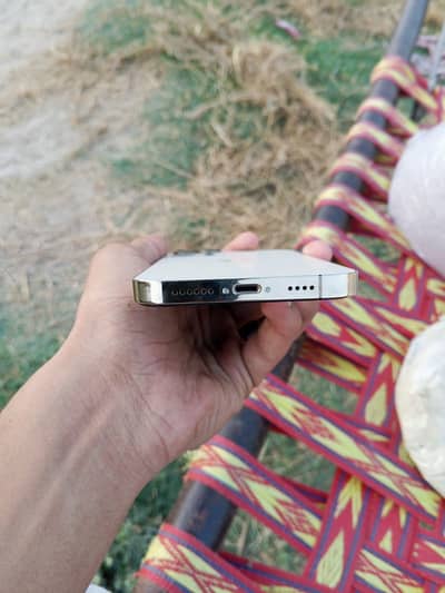 iphone 11 convert 12 pro