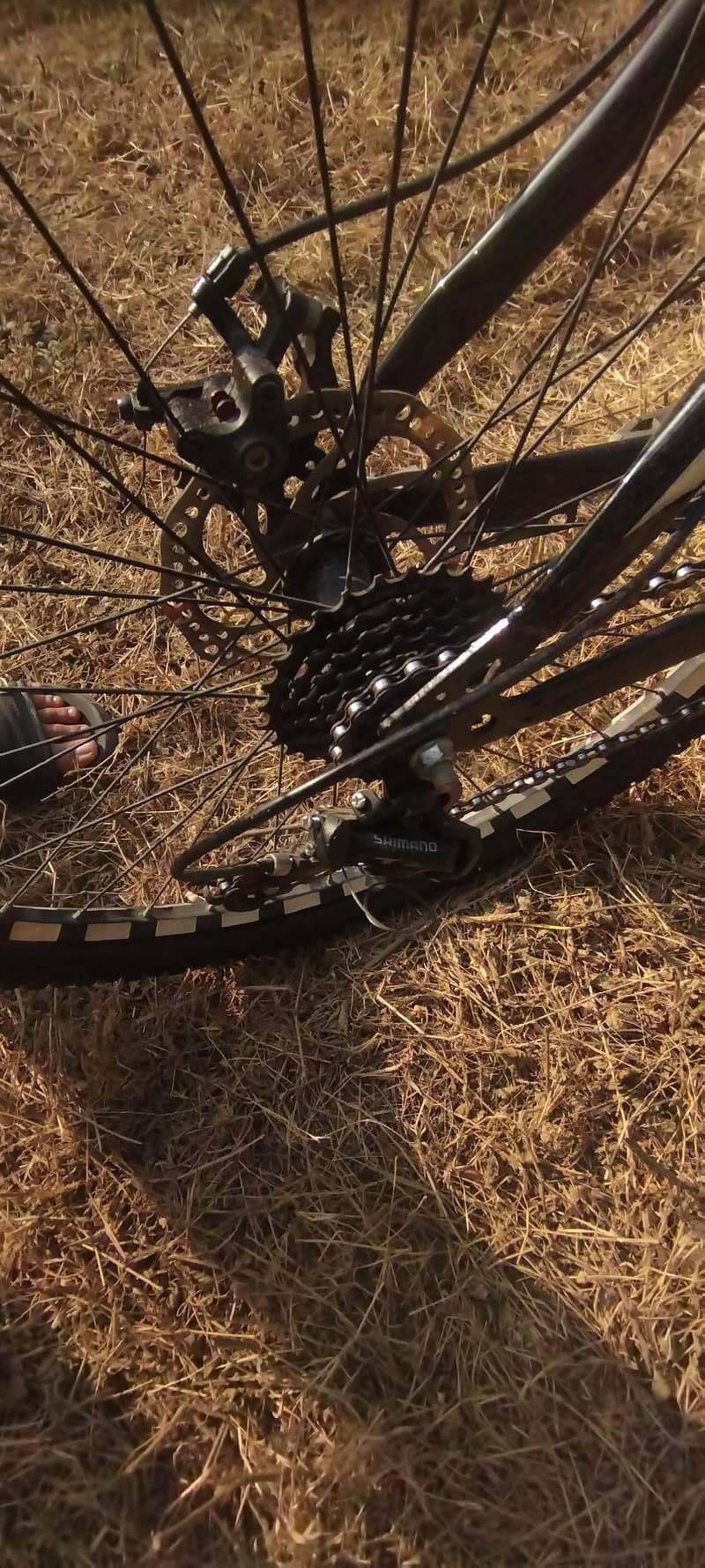 gear cycle 5