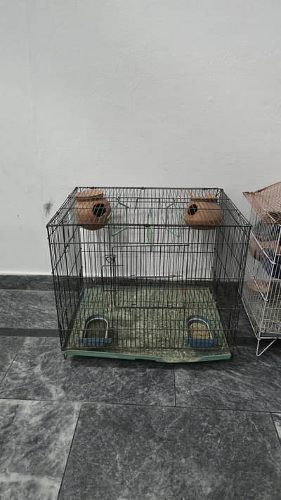 parrots cage for sale