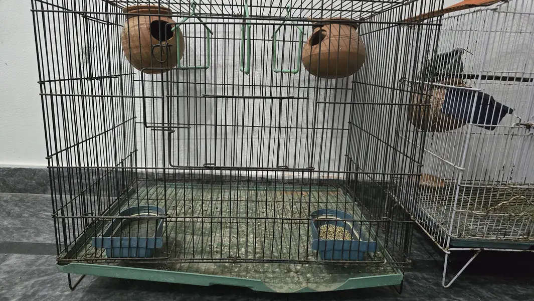 parrots cage for sale — photo 2