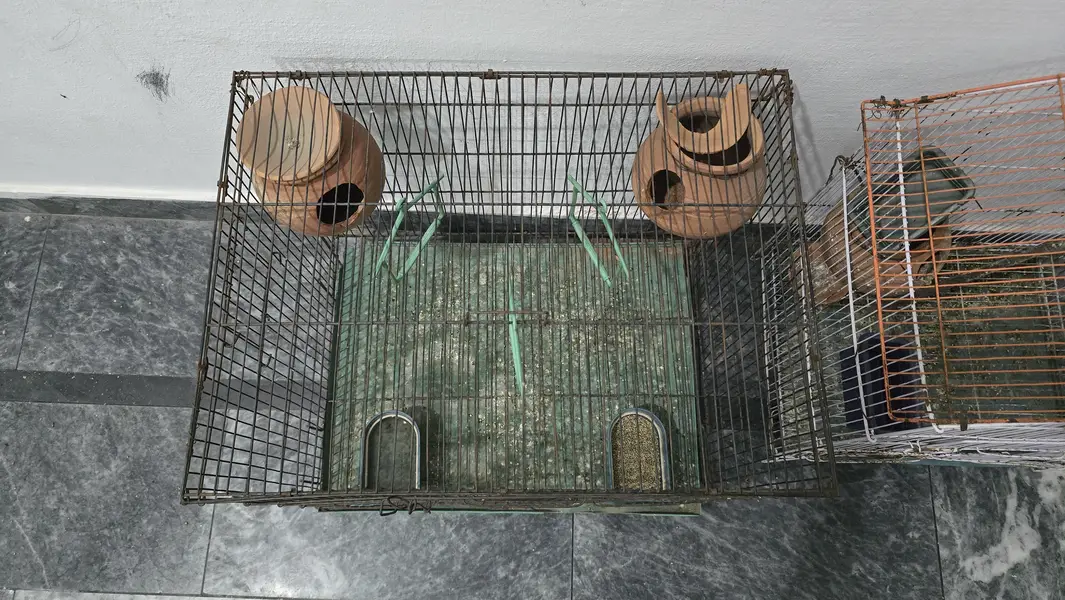parrots cage for sale — photo 3