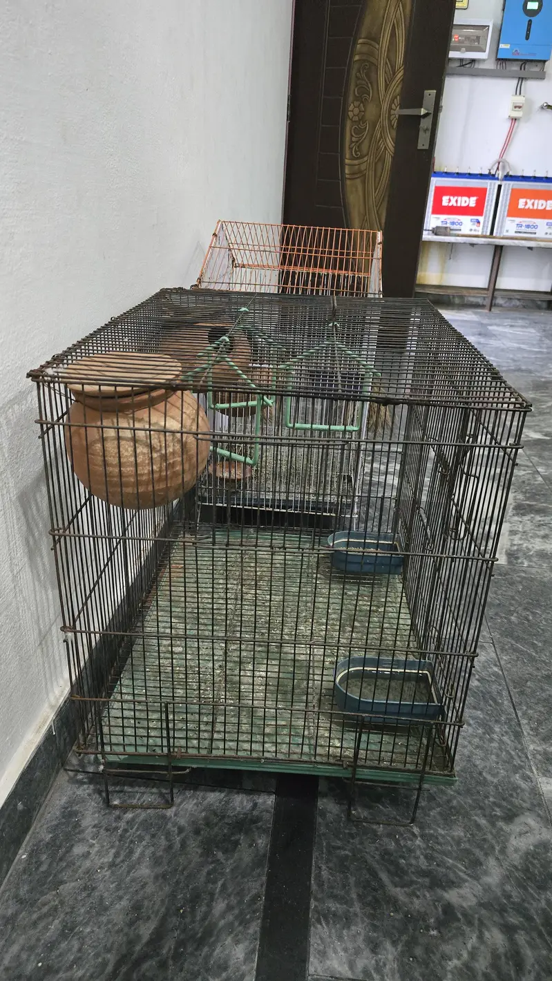 parrots cage for sale — photo 4