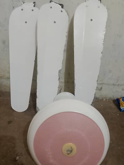 Ceiling fan for sale