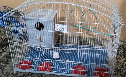Big Size Cage (Cocktails) - & All Accessories - WhatsApp 03335902880