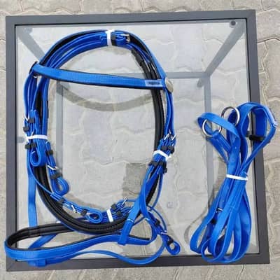 Horse bridles