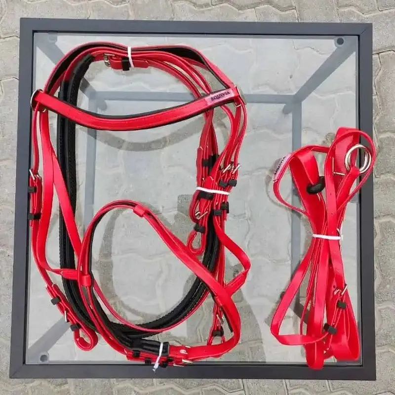 Horse bridles — photo 2