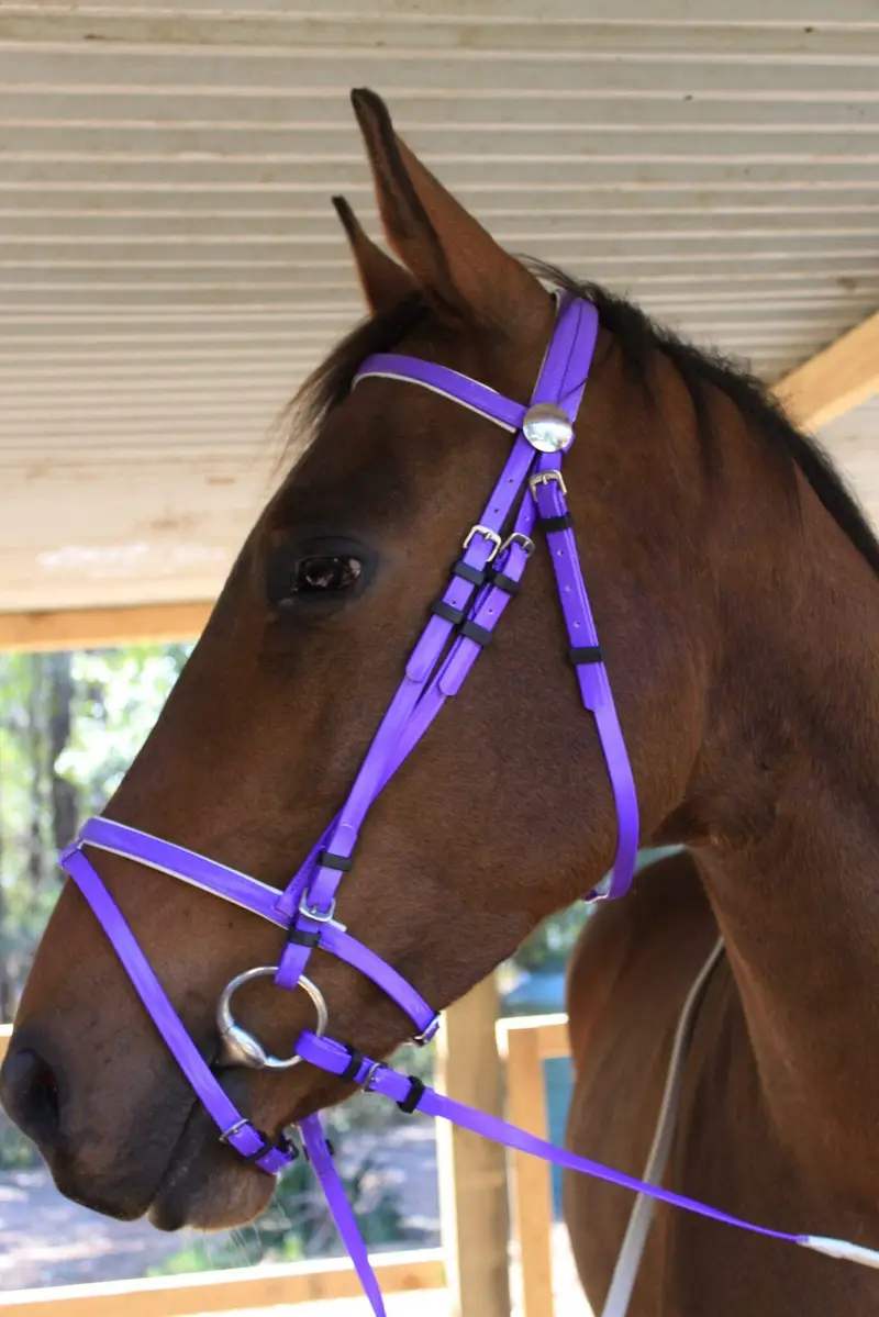 Horse bridles — photo 9