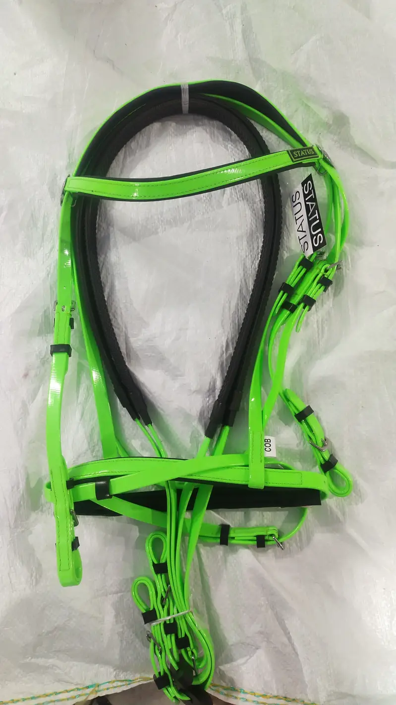 Horse bridles — photo 10