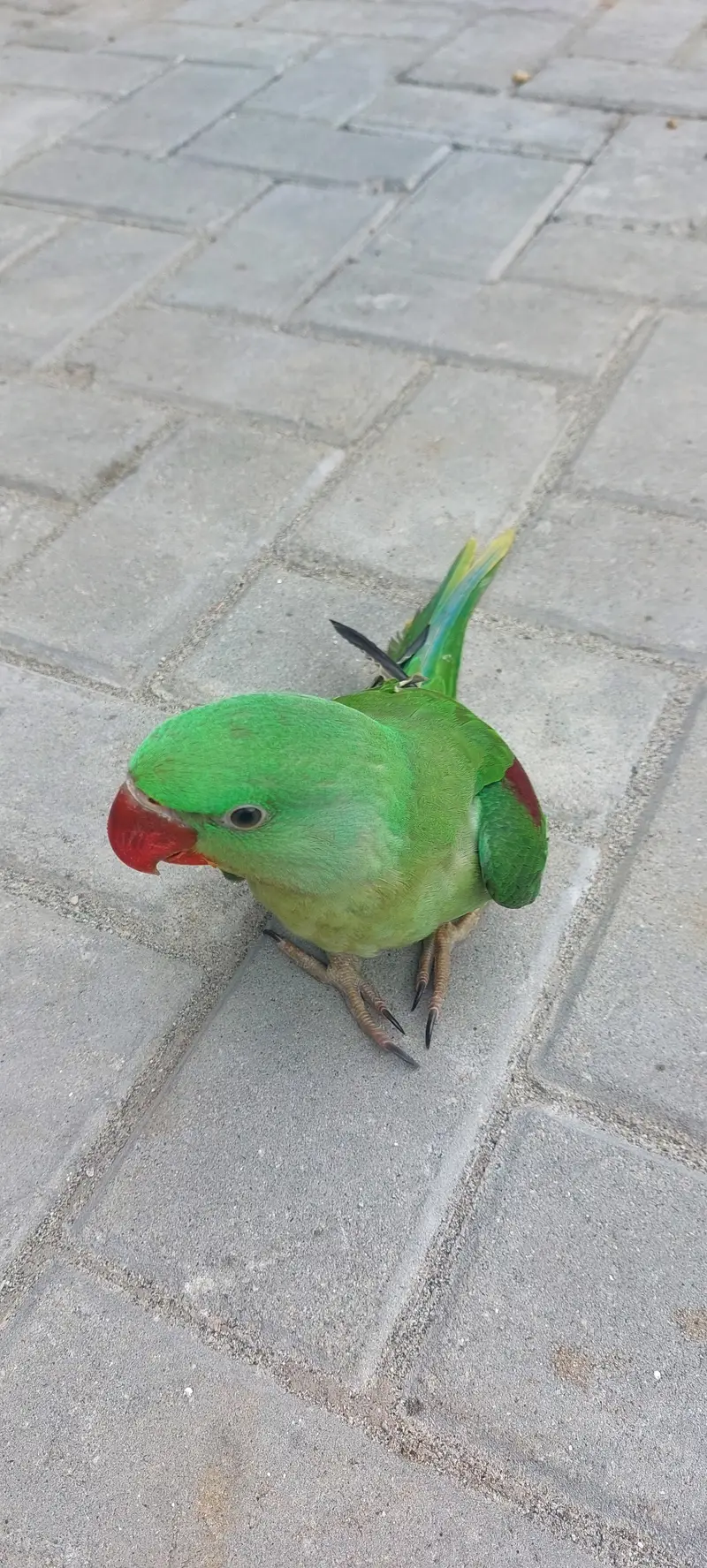 taxila nehar stop — photo 2