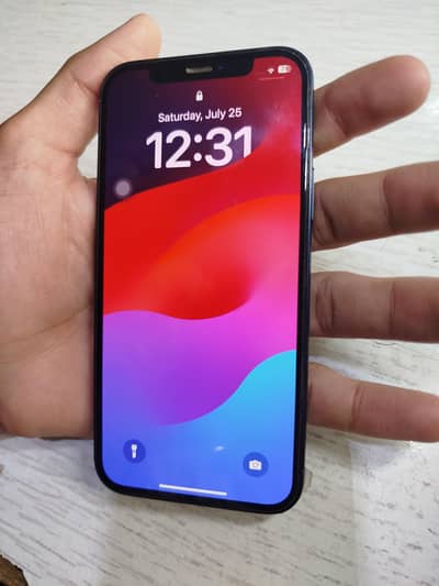 Apple iPhone 12