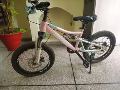 double shocks bicycle