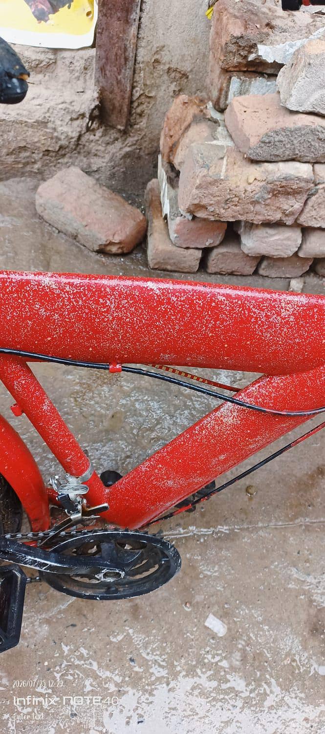 bicycle 6