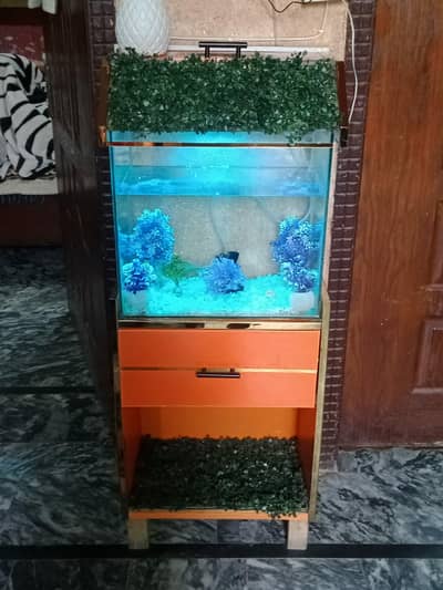 Furnished Aquarium