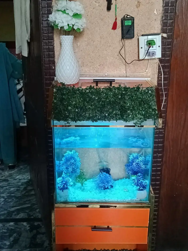 Furnished Aquarium — photo 3