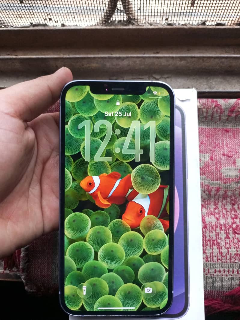 Apple iPhone 12 1
