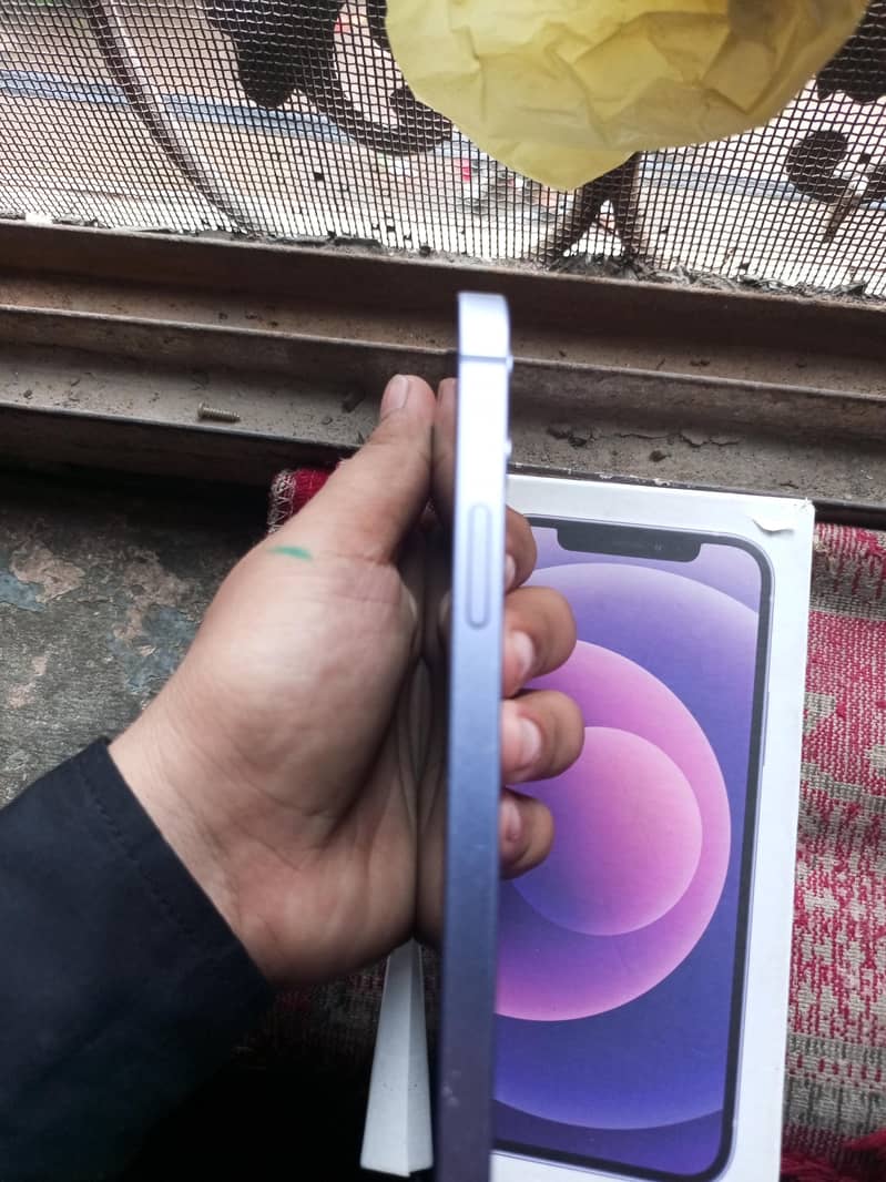 Apple iPhone 12 2