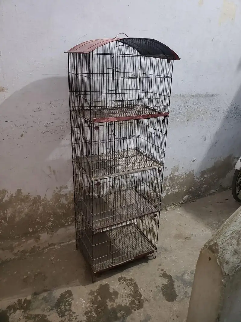 cage for birds, 4 portions pingera, master cage — photo 2