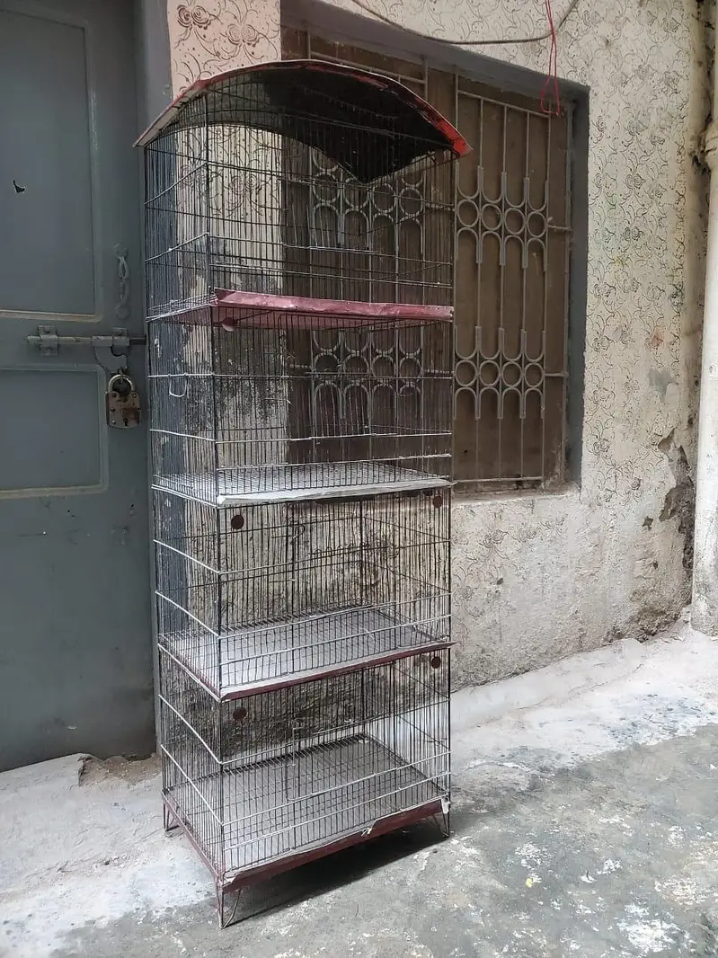 cage for birds, 4 portions pingera, master cage — photo 4