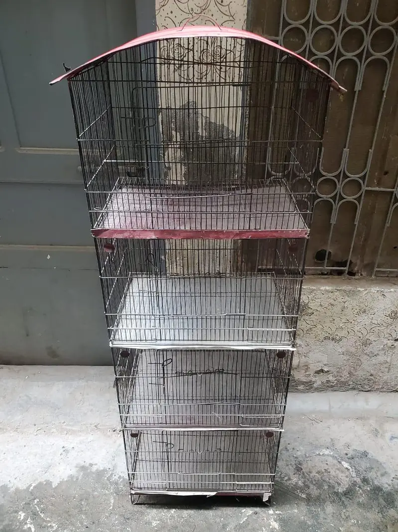 cage for birds, 4 portions pingera, master cage — photo 5
