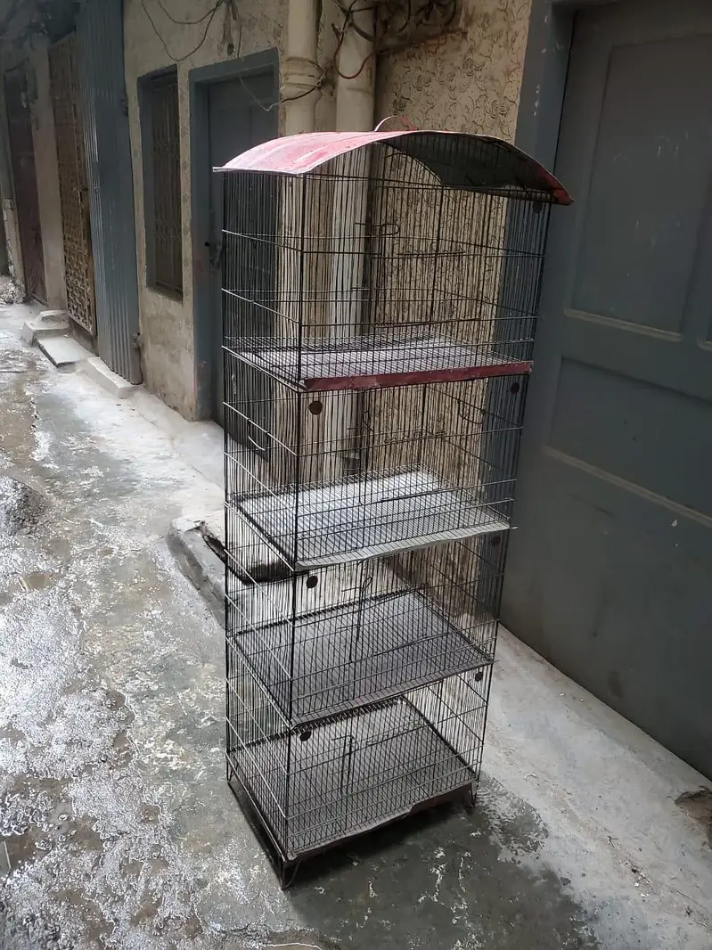 cage for birds, 4 portions pingera, master cage — photo 6