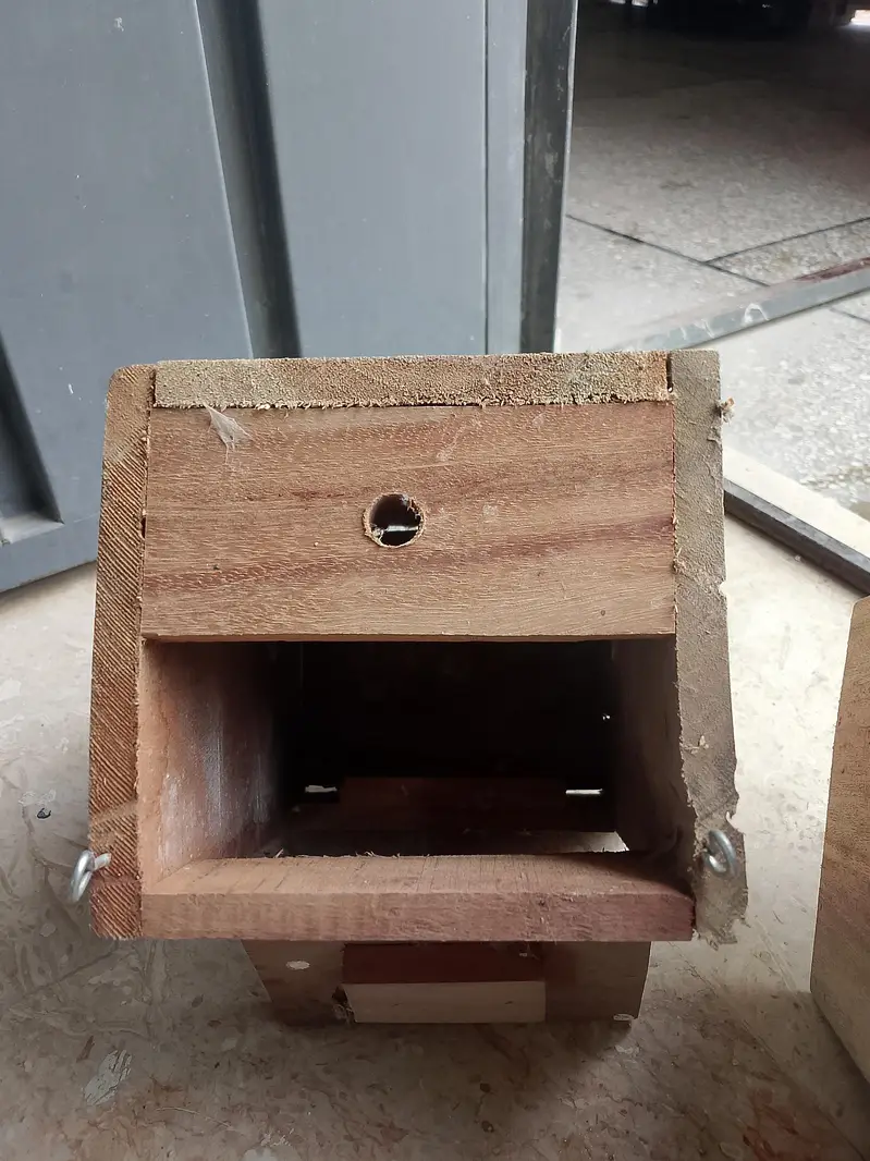 finch breeding box in wood — photo 2