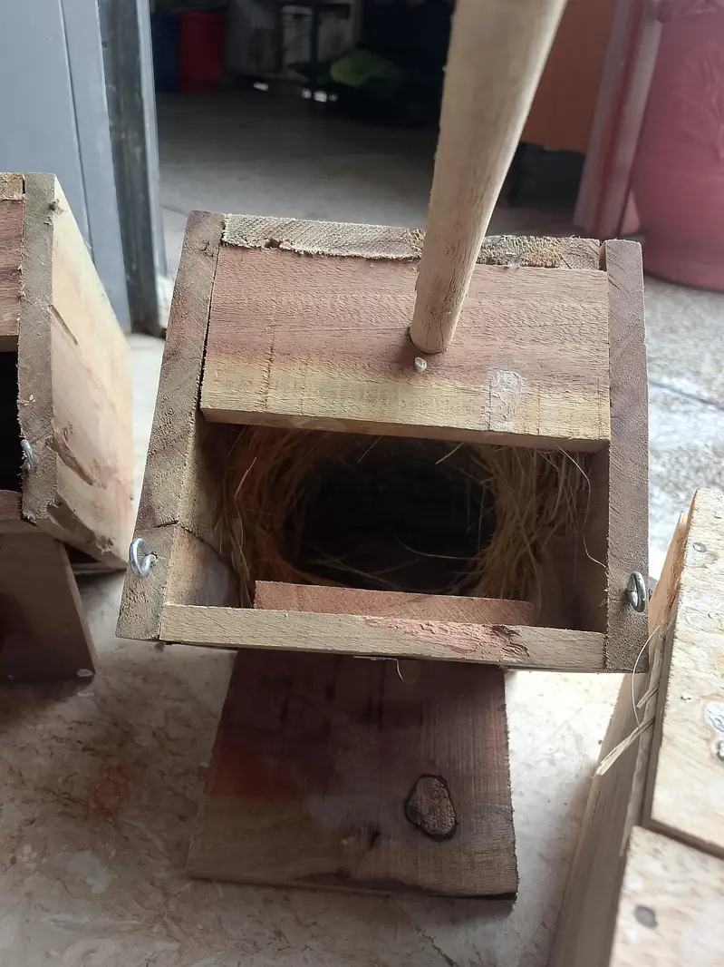 finch breeding box in wood — photo 3